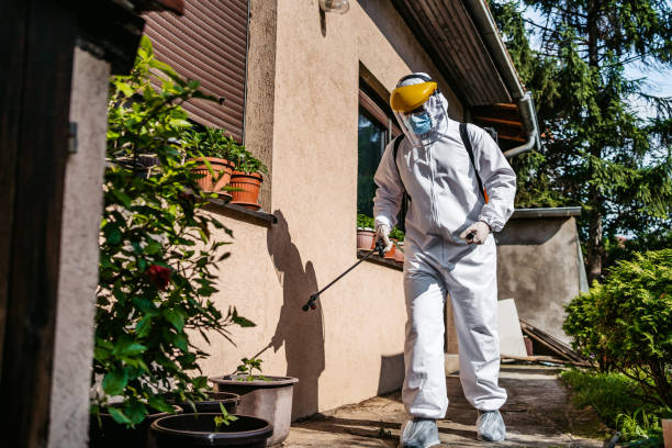 Best Insect Control  in Fairfax Station, VA