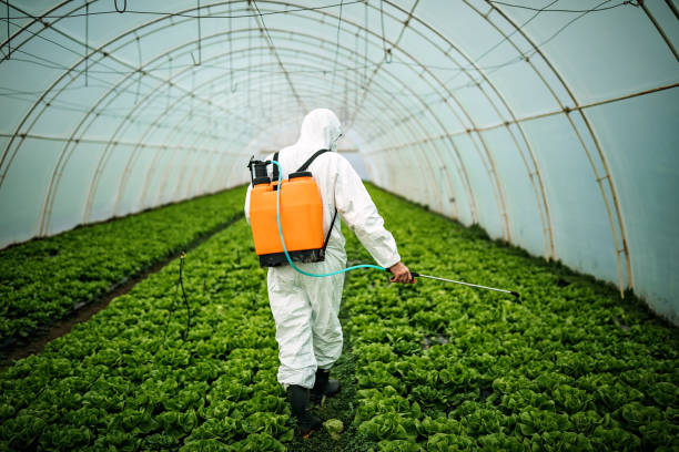 Reliable Fairfax Station, VA Pest Control Solutions