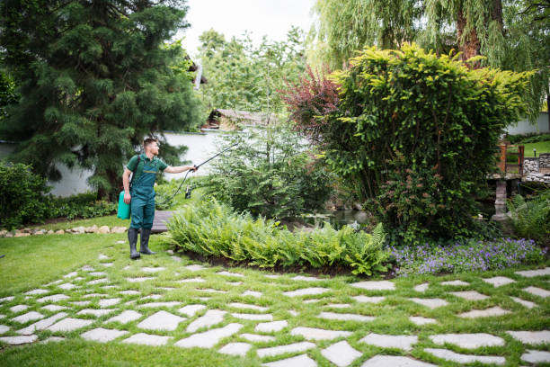 Best Ant Control Services  in Fairfax Station, VA