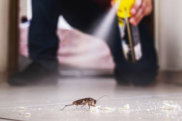 Best Best Pest Control Companies  in Fairfax Station, VA