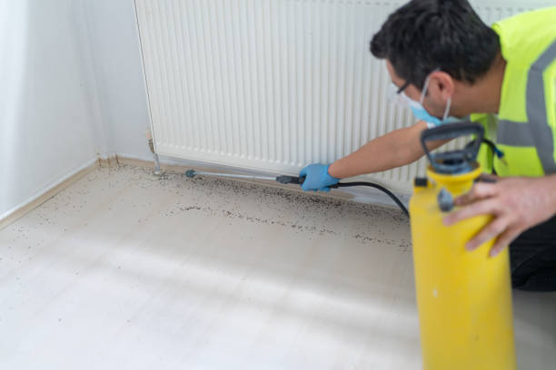 Best Cockroach Control Services  in Fairfax Station, VA
